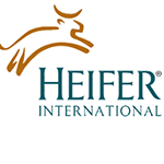 HEIFER